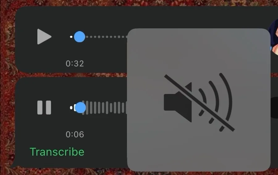 لا ترسل لي رسالة صوتية!